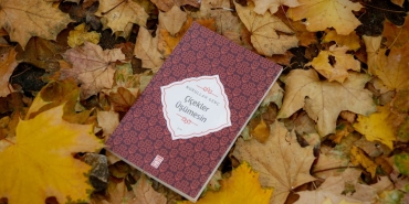 Mantikta-Sasirtici-Bir-Gercek-Yanlis-Onermelerden-Dogru-Sonuclar-Mumkun-featured