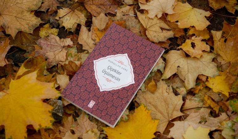 Mantikta-Sasirtici-Bir-Gercek-Yanlis-Onermelerden-Dogru-Sonuclar-Mumkun-featured