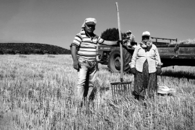 Ciftciye-237-Milyon-TL-Tarimsal-Destek-Odemesi-Basliyor-featured